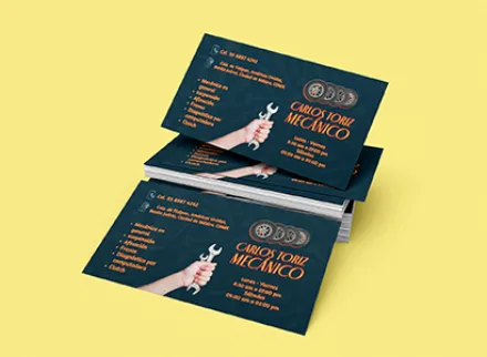Tarjeta polypap 14 puntos