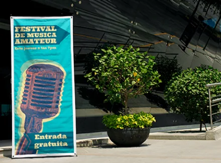X banner 80 × 180 centímetros